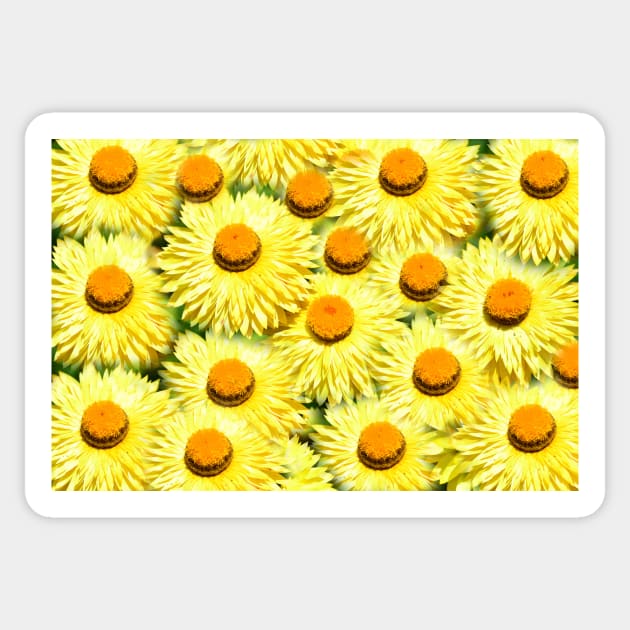 Flowers of Summer Sticker by dltphoto